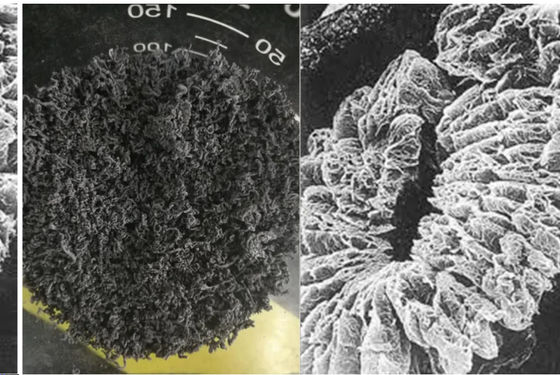 +100 Mesh Yüksek Karbon Genişletilmiş Grafit