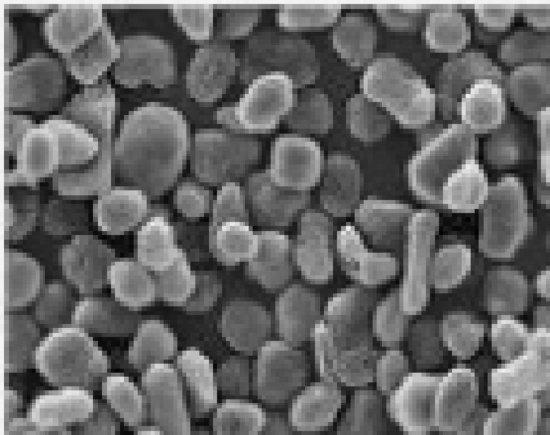 %99,97 Karbon İçeriği 21um ve 13ppm Fe Doğal Anot Malzemesi Küresel Grafit